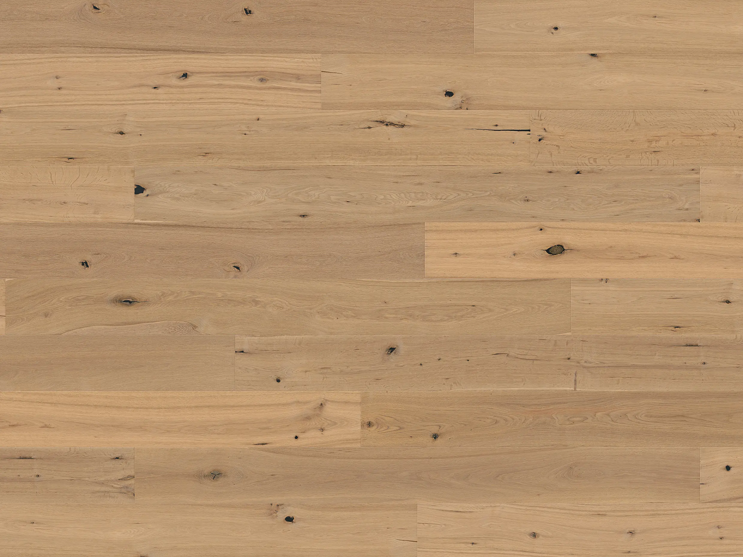 Landhausdiele Eiche Parkett geölt lebhaft Woodbase Basel