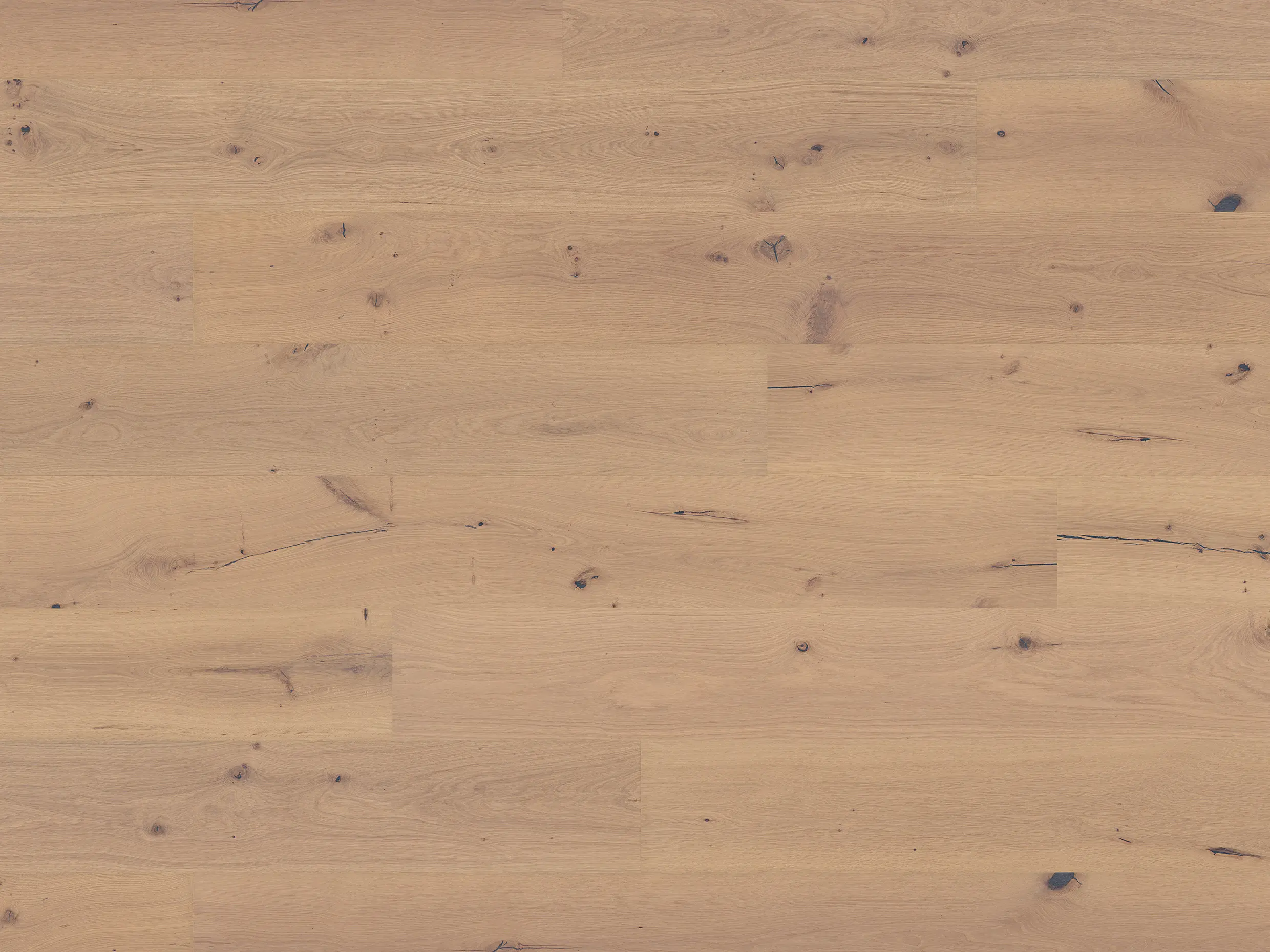 Landhausdiele Eiche Parkett weiß geölt lebhaft Woodbase Davos