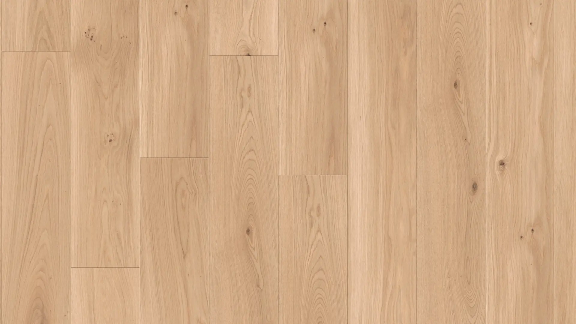 Weitzer Parkett Diele 1800 Eiche Pure wild bunt ProVital finish (geölt)