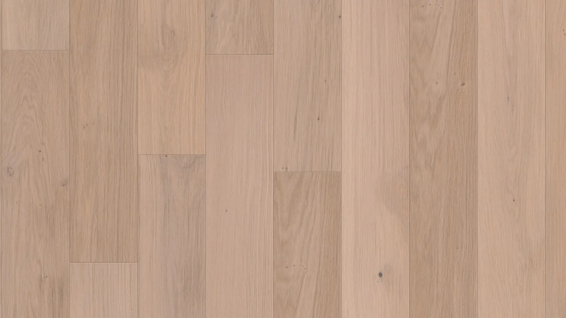 Weitzer Parkett Diele 1800 Eiche Kaschmir lebhaft ProActive+ (lackiert)