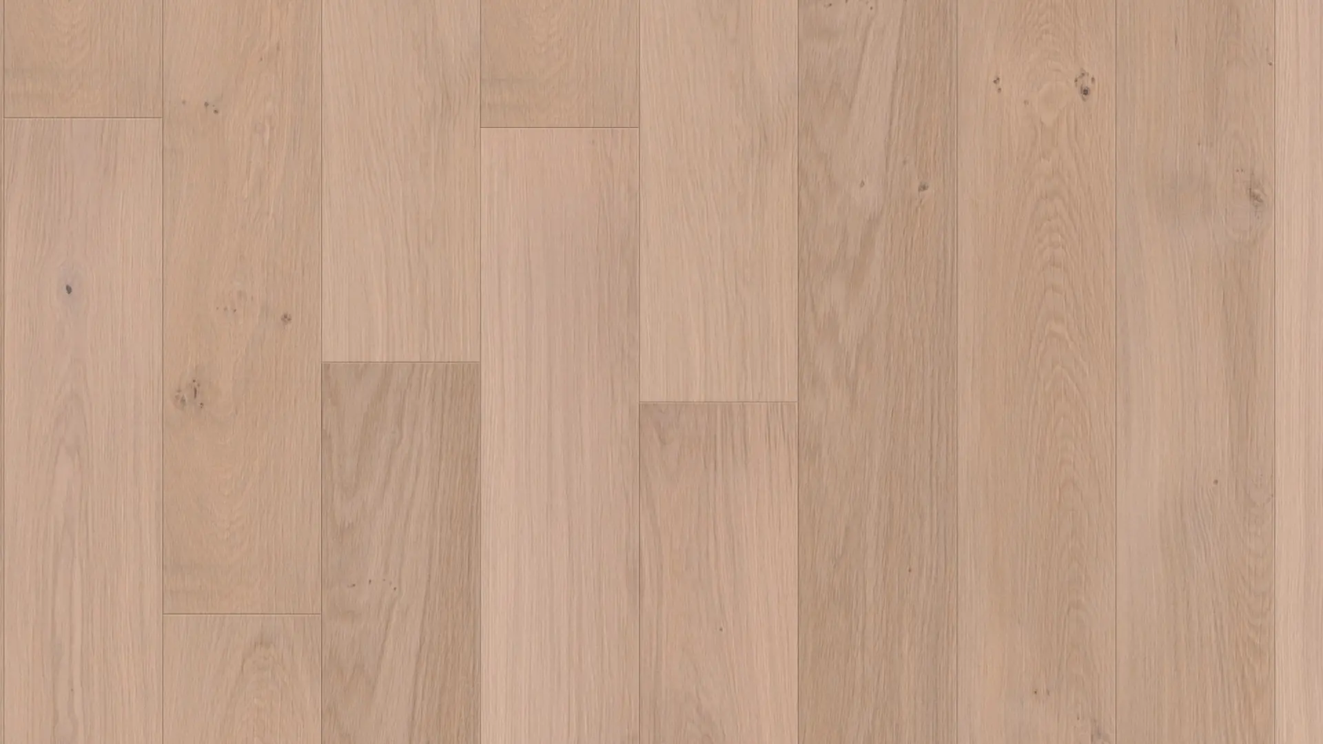 Weitzer Parkett Landhausdiele 1800 Eiche Kaschmir lebhaft ProVital finish (geölt)