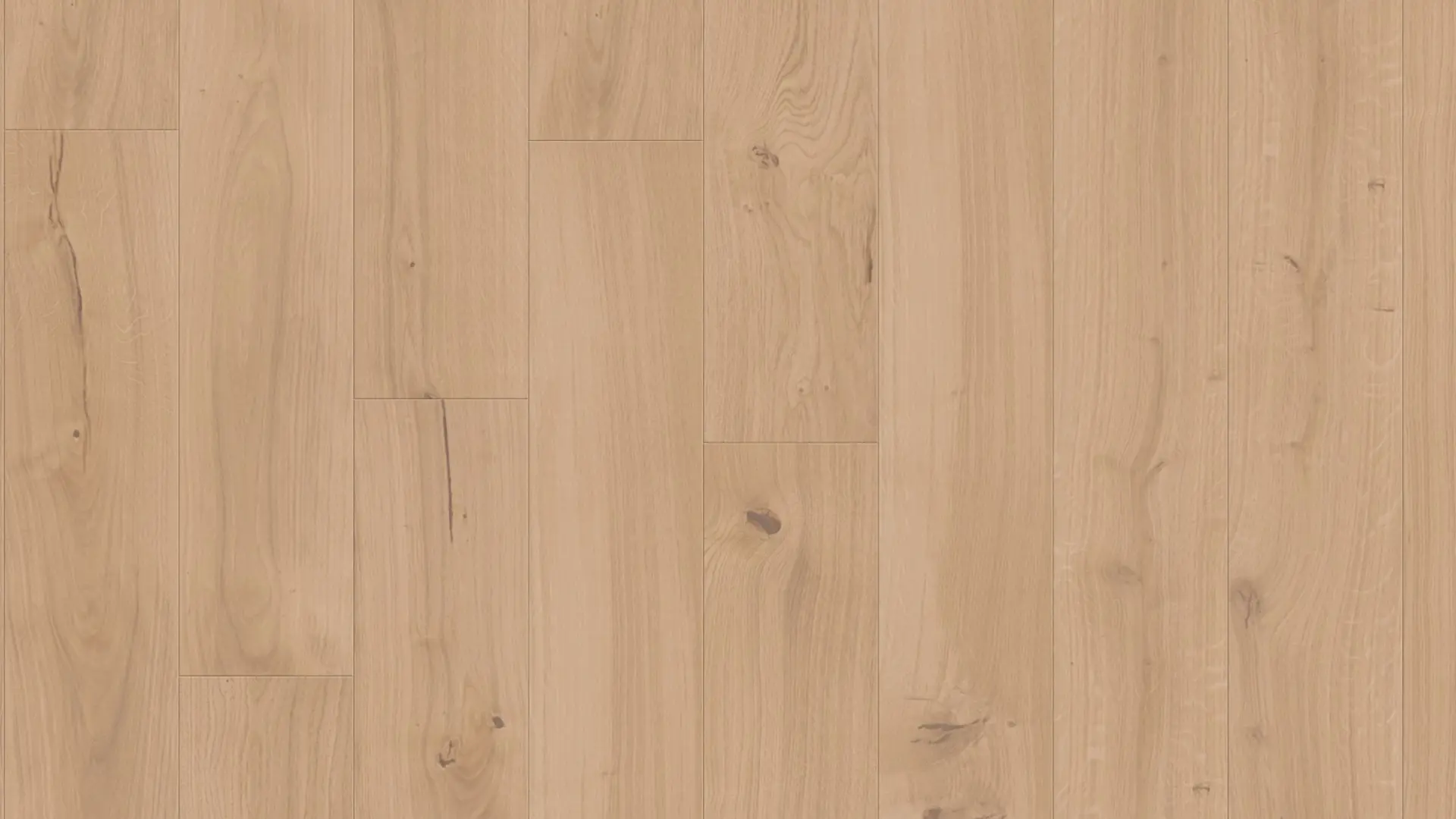 Weitzer Parkett Diele 1800 Eiche Kaschmir wild ProVital finish (geölt)