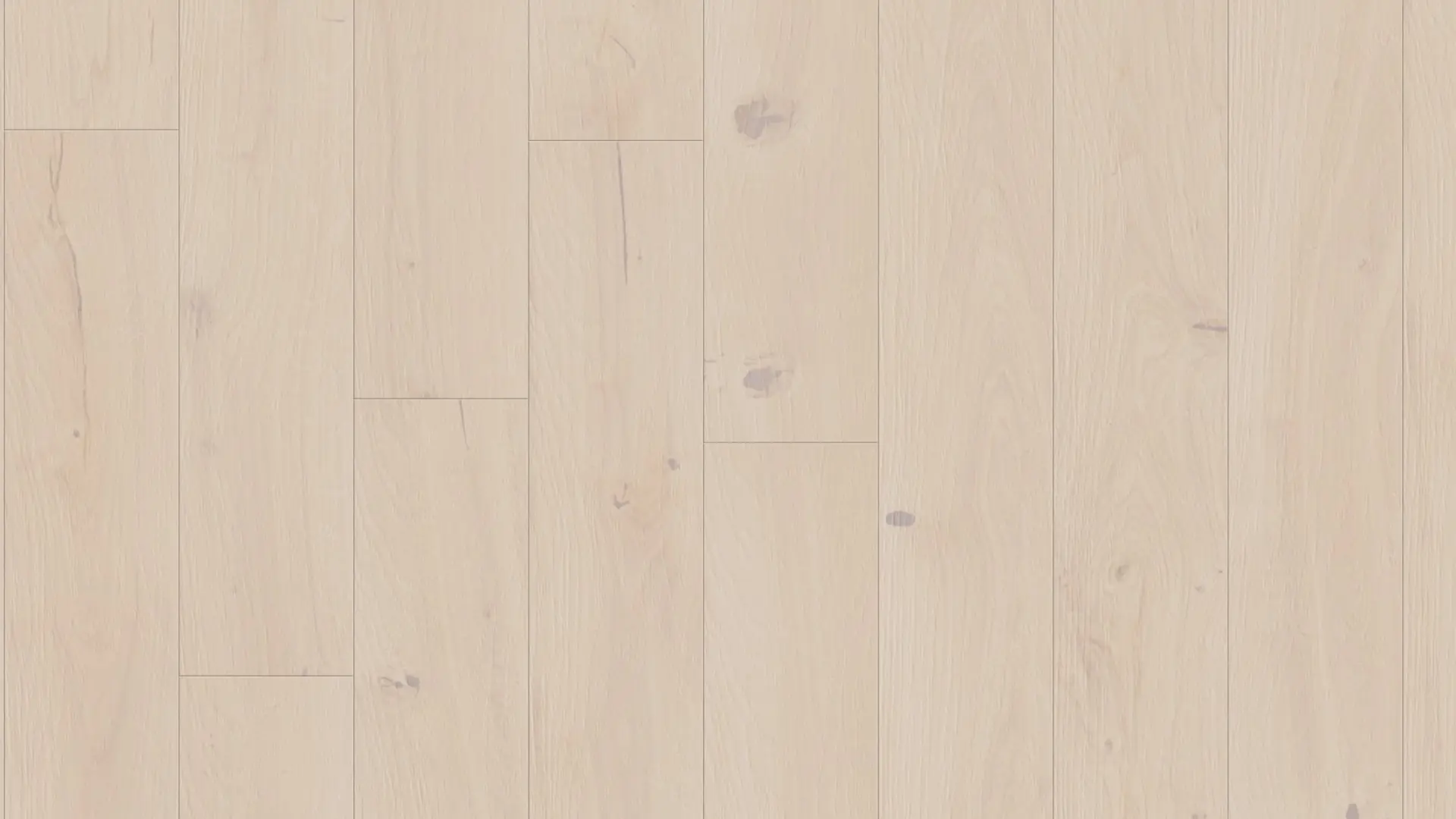 Weitzer Parkett Diele 1800 Eiche Polar wild ProVital finish (geölt)