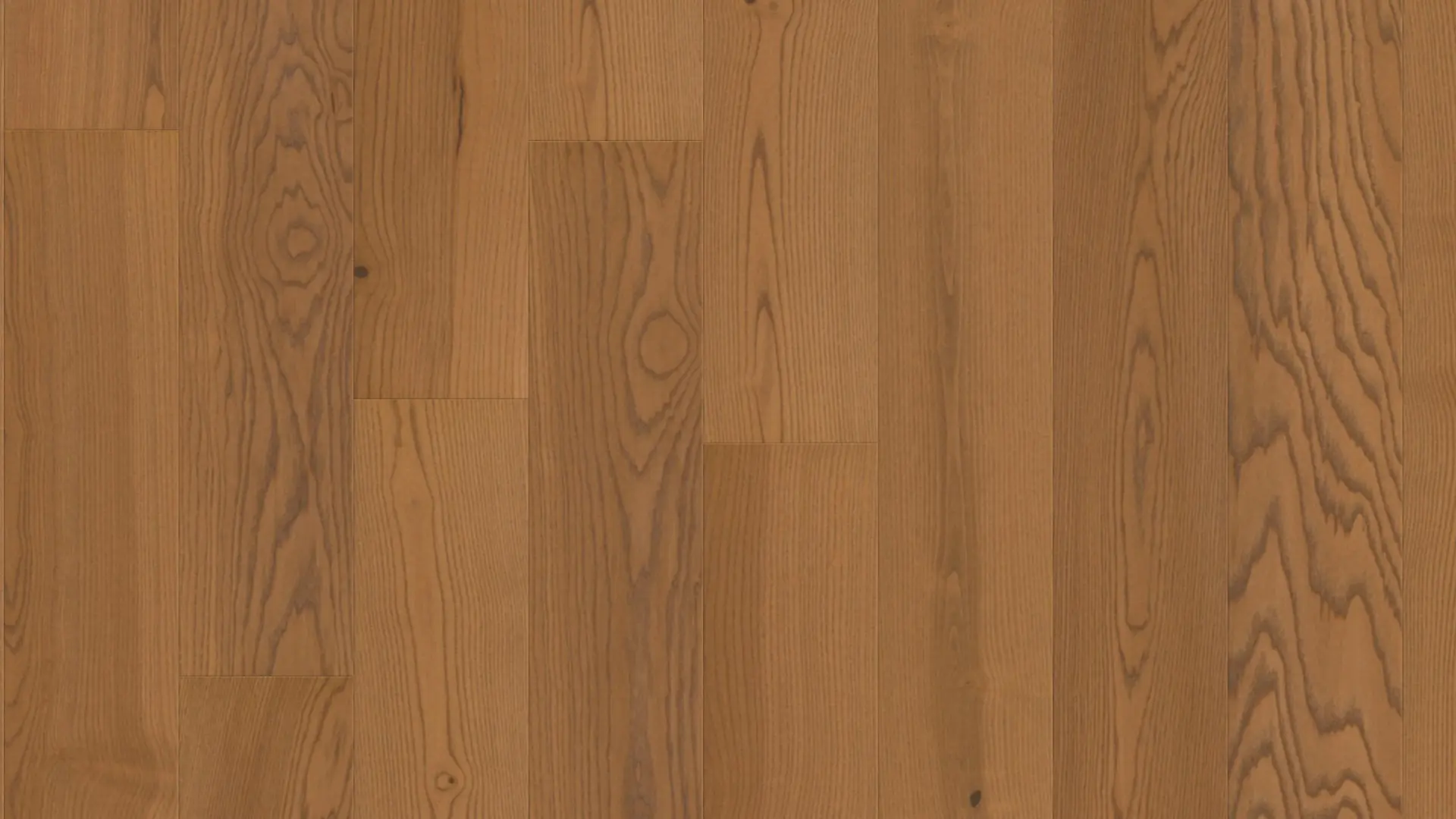 Weitzer Parkett Diele 1800 Esche Amber lebhaft bunt ProVital finish (geölt)