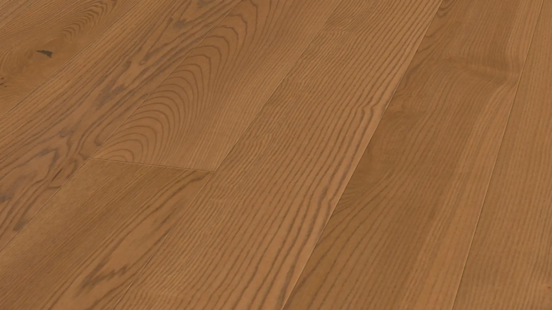 Weitzer Parkett Diele 1800 Esche Amber lebhaft bunt ProVital finish (geölt) – Bild 2