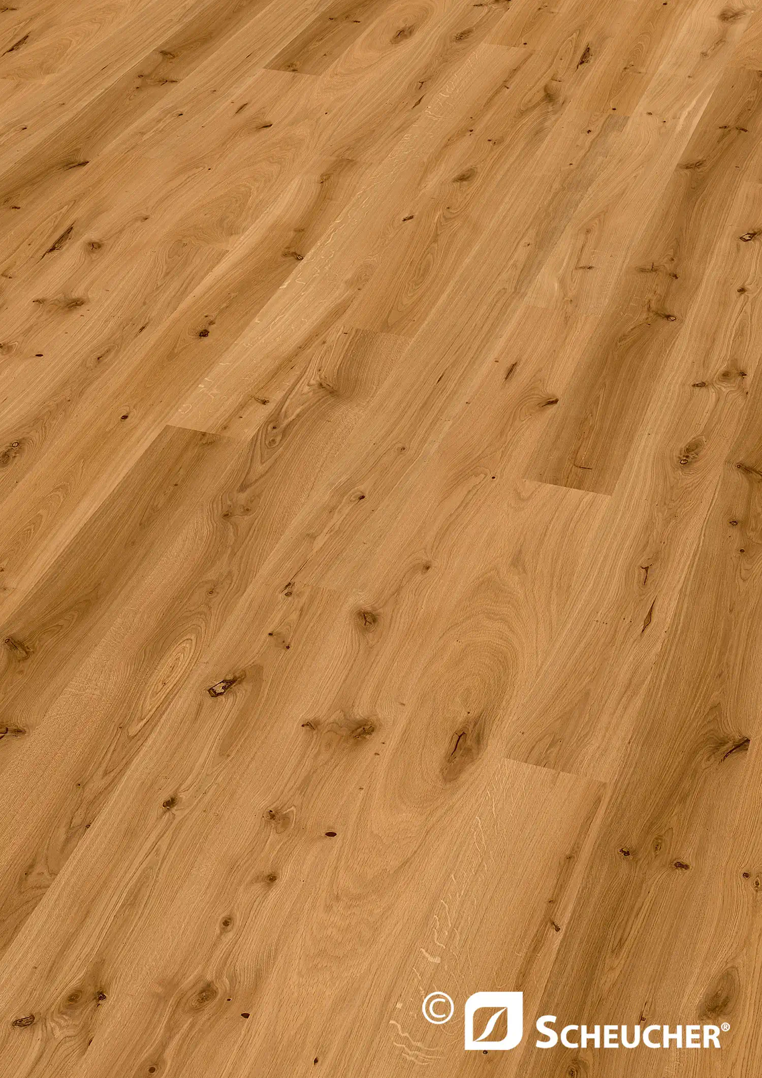 Scheucher Parkett Landhausdiele Woodflor182 Eiche Country Natura Valetta Seda
