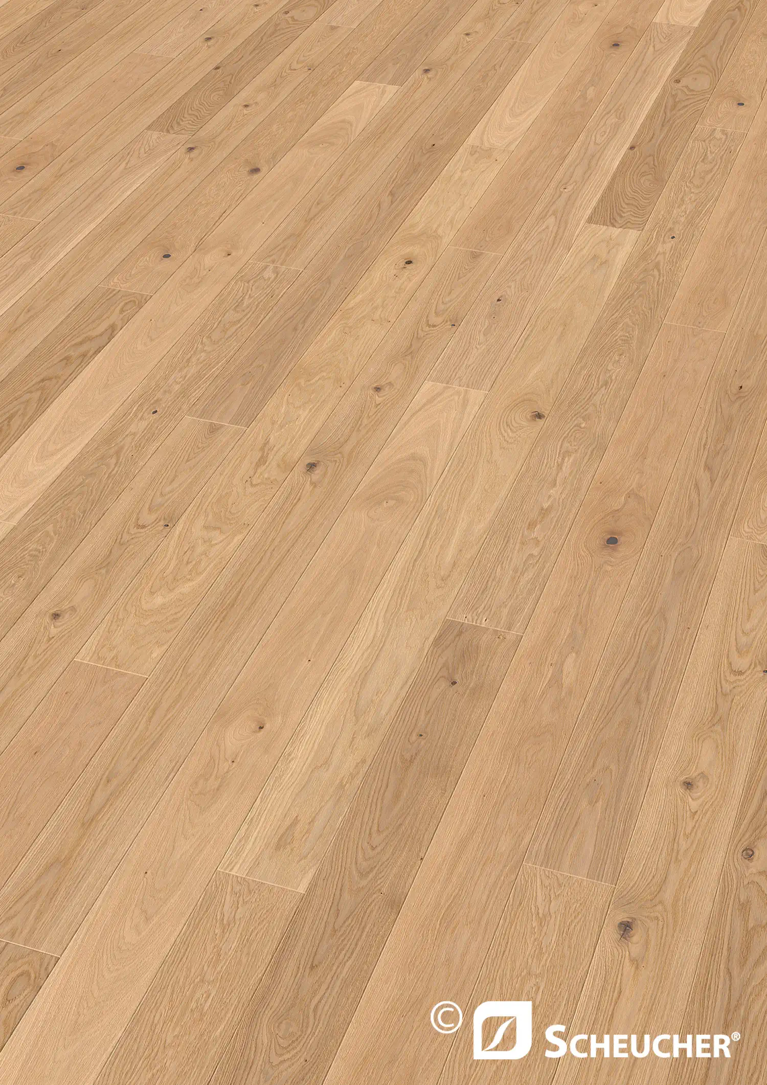 Scheucher Parkett Landhausdiele Woodflor140 Eiche Country Perla Valetta Tenseo X Matt