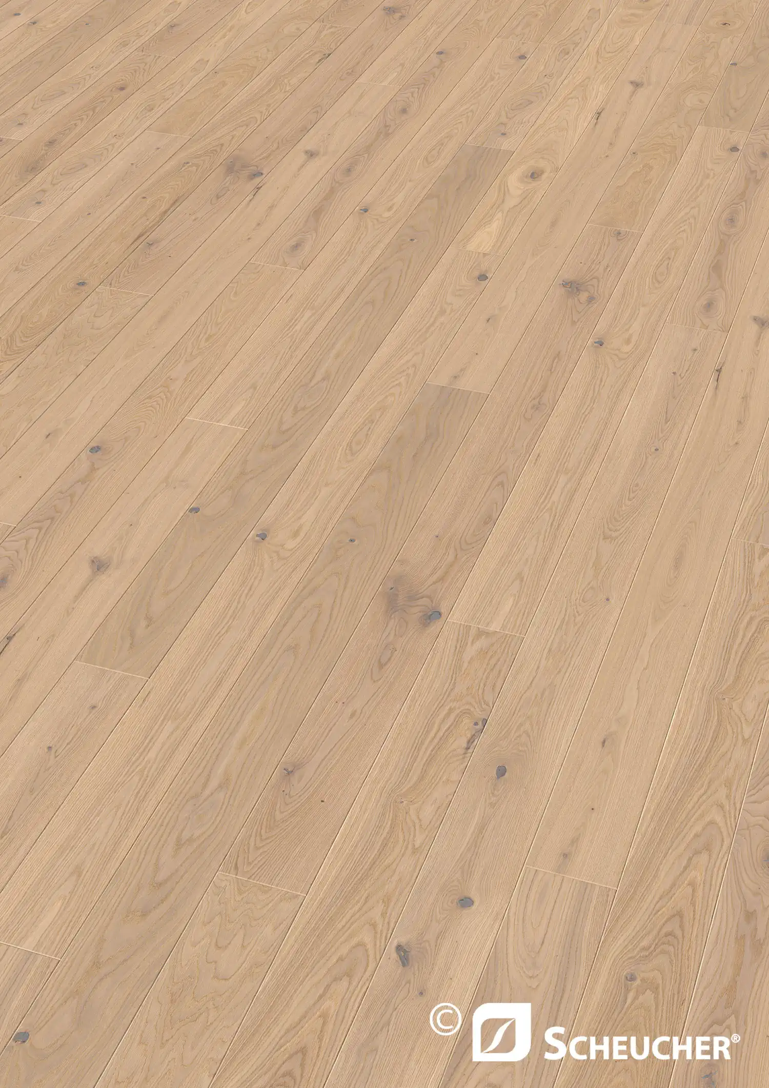 Scheucher Parkett Landhausdiele Woodflor140 Eiche Country Bianca Valetta Seda