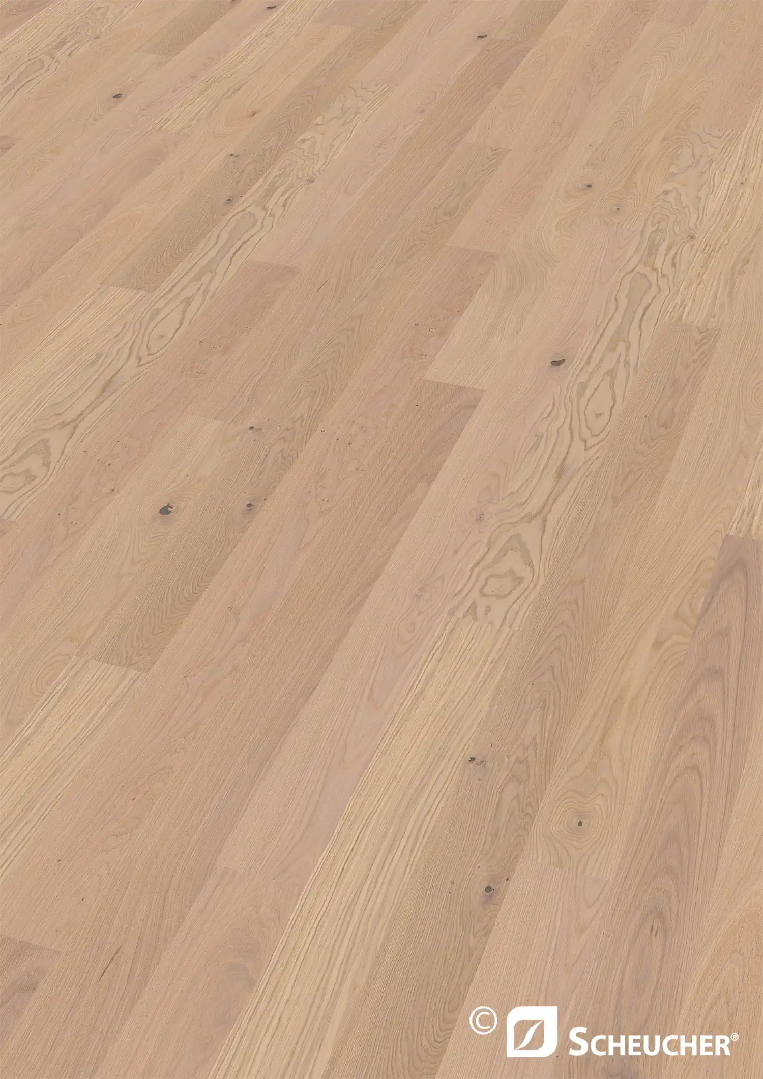 Scheucher Parkett Landhausdiele Woodflor140 Eiche Astig Bianca Valetta Tenseo X Matt