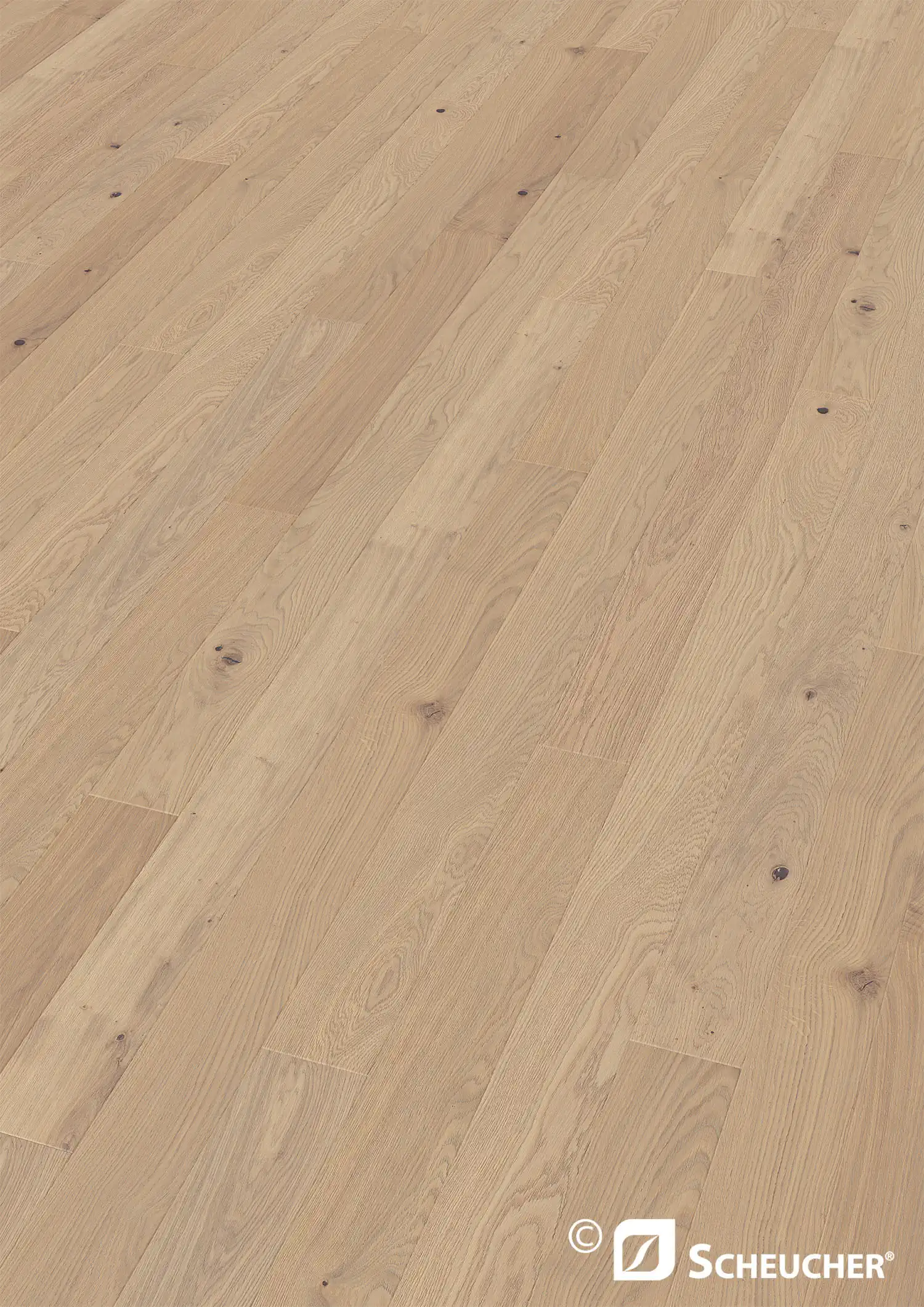 Scheucher Parkett Landhausdiele Woodflor140 Eiche Astig Nebla Valetta Seda