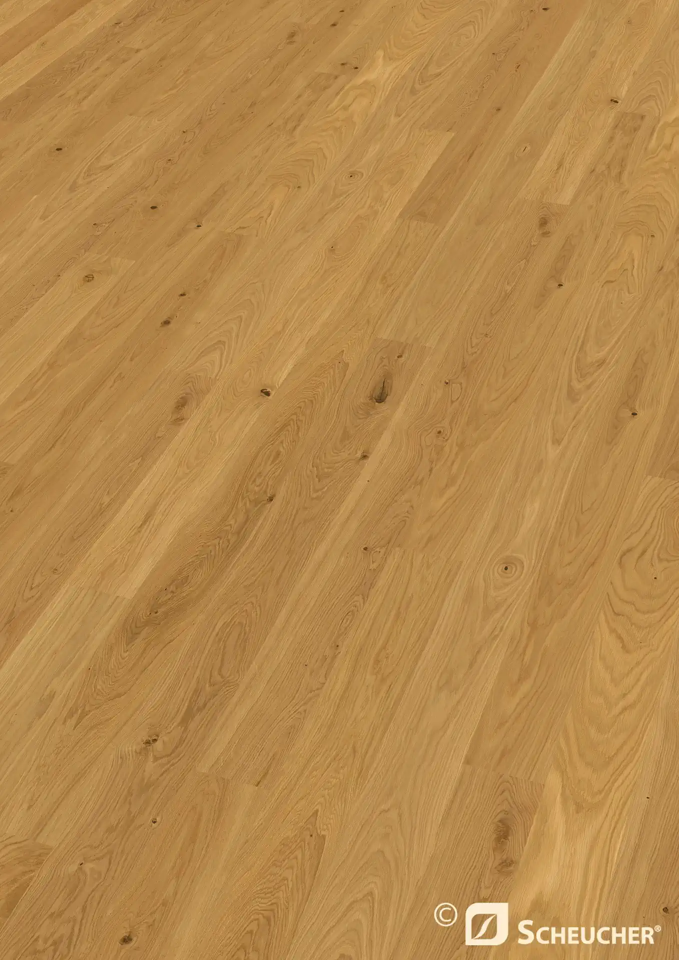 Scheucher Parkett Landhausdiele Woodflor222 Eiche Astig Naturale Fase 4-seitig Purotec