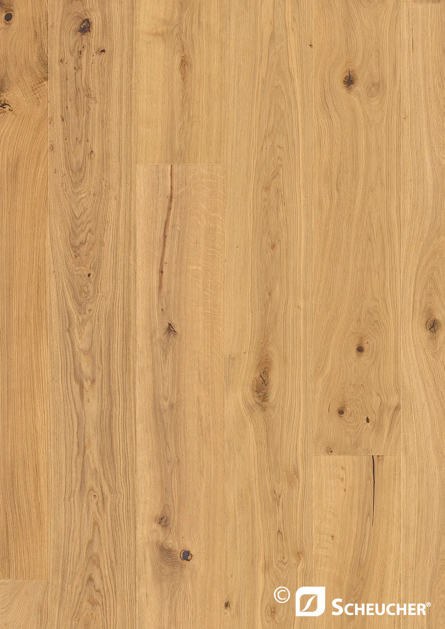 Scheucher Parkett Landhausdiele Woodflor222 Eiche Country Perla Valetta Seda