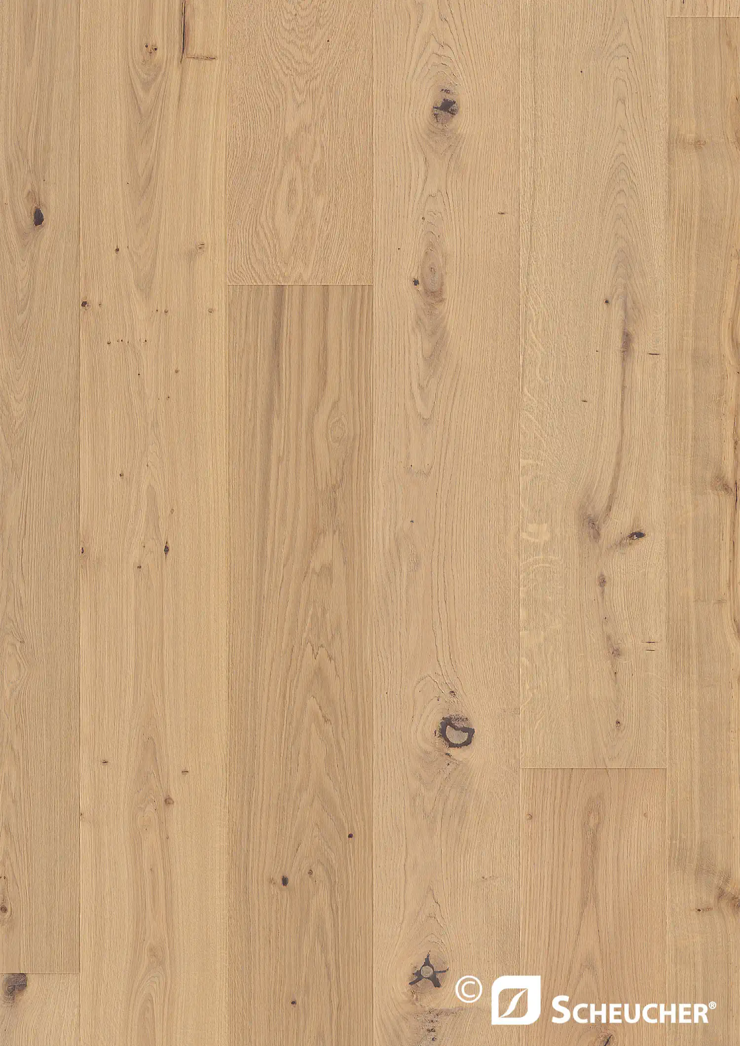 Scheucher Parkett Landhausdiele Woodflor222 Eiche Country Nebla Valetta Seda