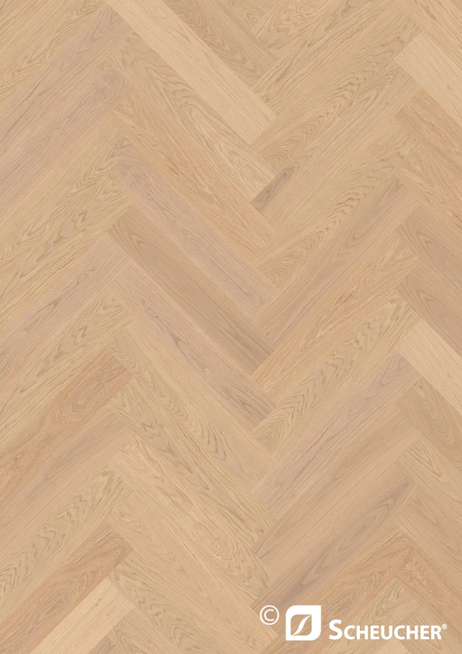 Scheucher Parkett Fischgrät 90 Grad Multiflor700.11LI-STAB Eiche Natur Bianca Valetta Seda