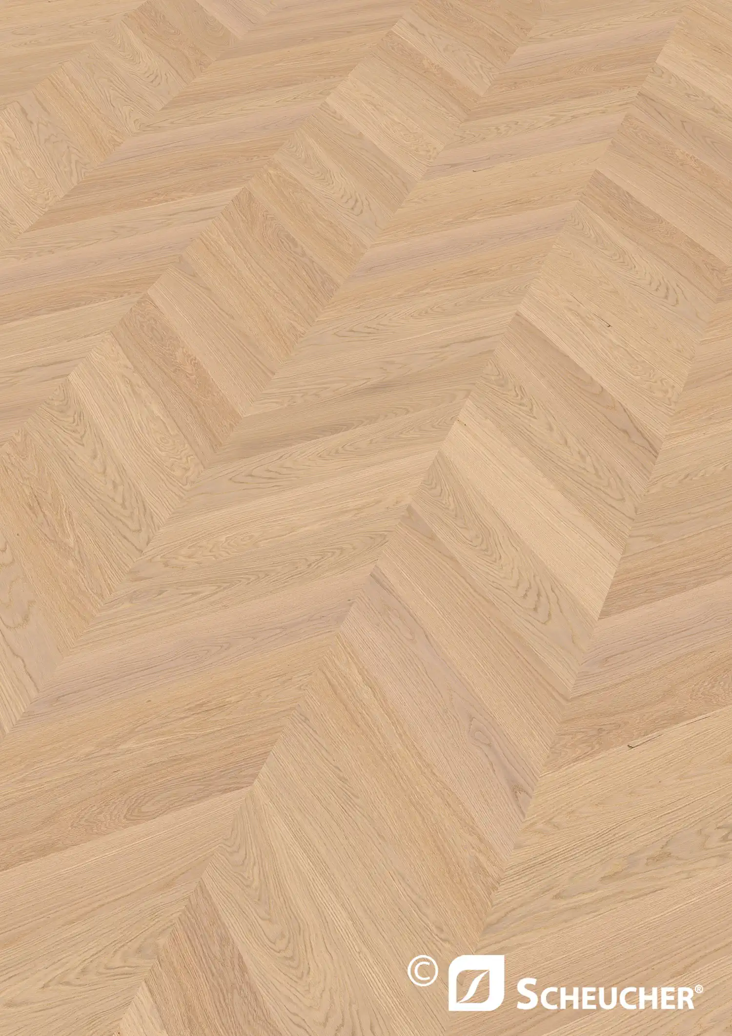 Scheucher Parkett Französisch Fischgrät 45 Grad Multiflor74045°.11A Eiche Natur Bianca Valetta Seda