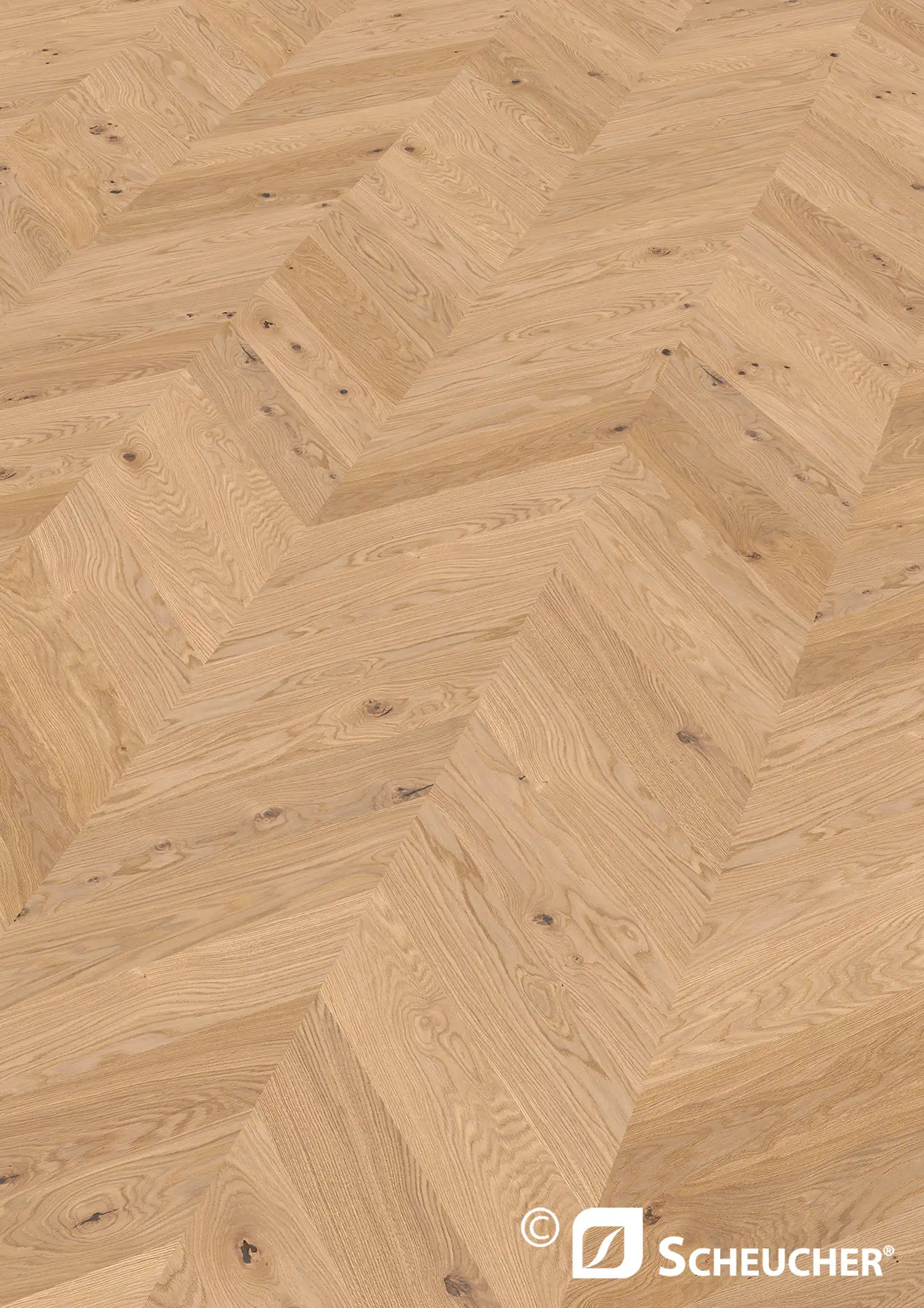 Scheucher Parkett Französisch Fischgrät 45 Grad Multiflor74045°.11A Eiche Country Perla Valetta Seda