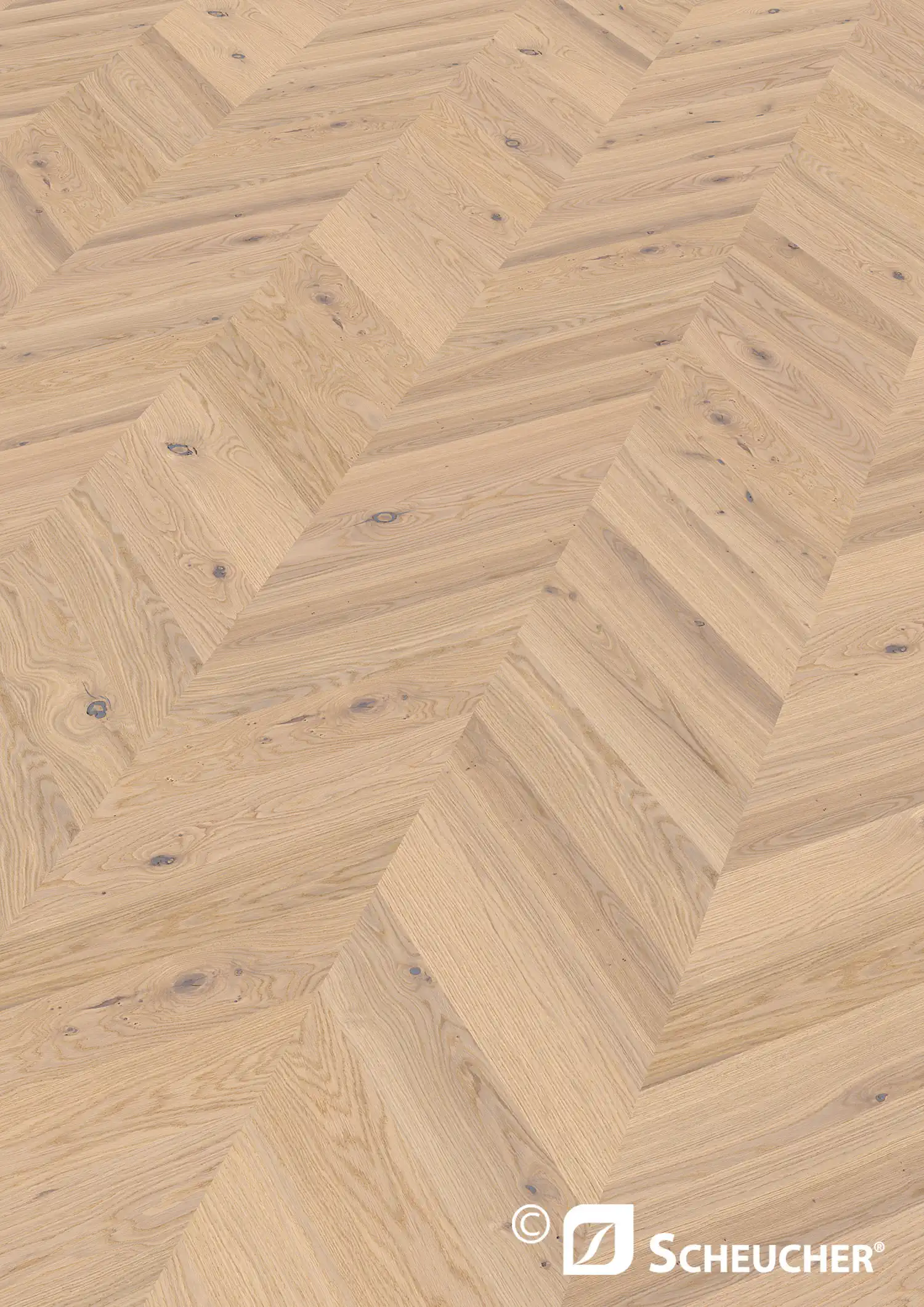 Scheucher Parkett Französisch Fischgrät 45 Grad Multiflor74045°.11A Eiche Country Bianca Valetta Seda