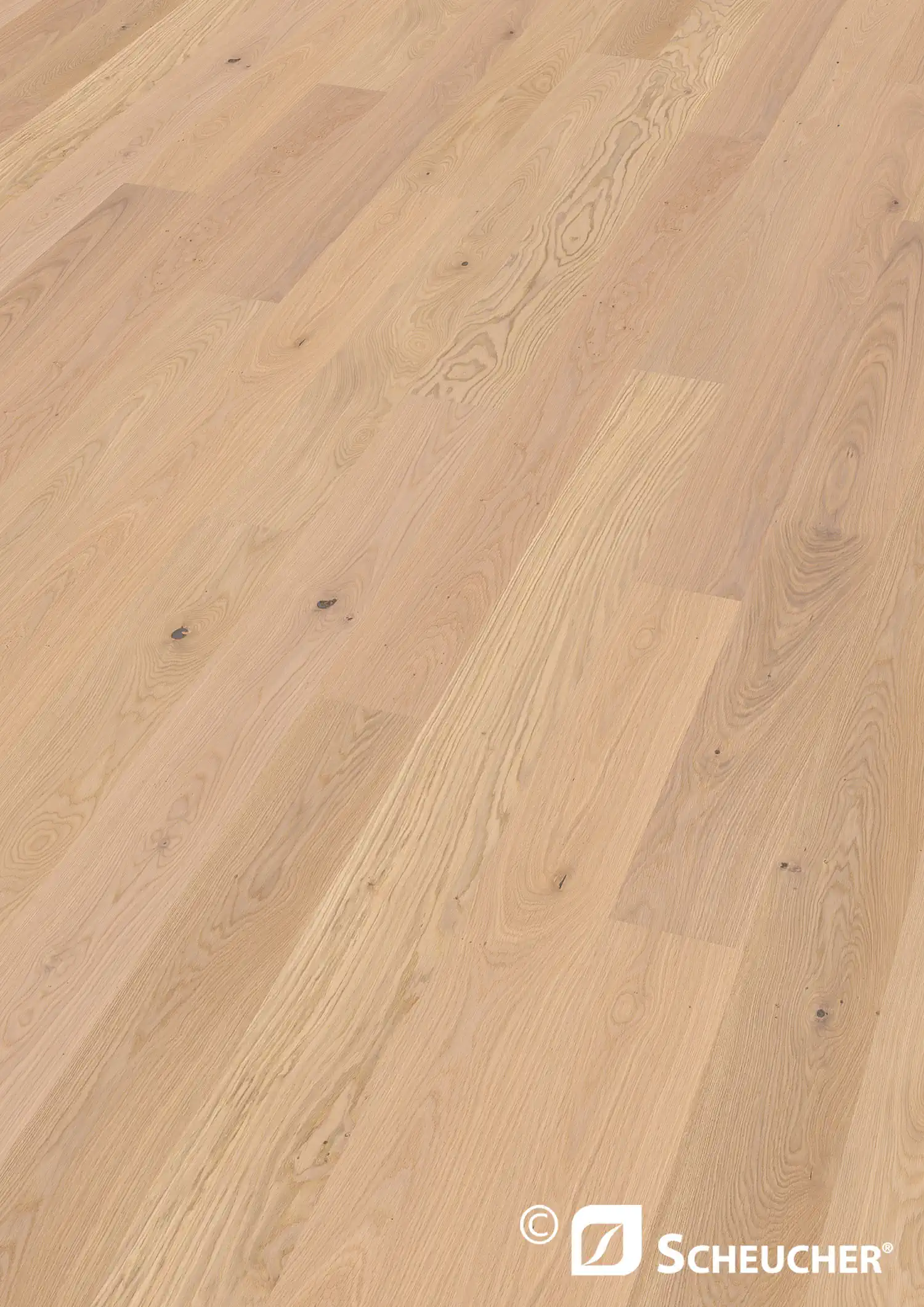 Scheucher Parkett Landhausdiele Woodflor182 Eiche Astig Bianca Valetta Tenseo X Matt
