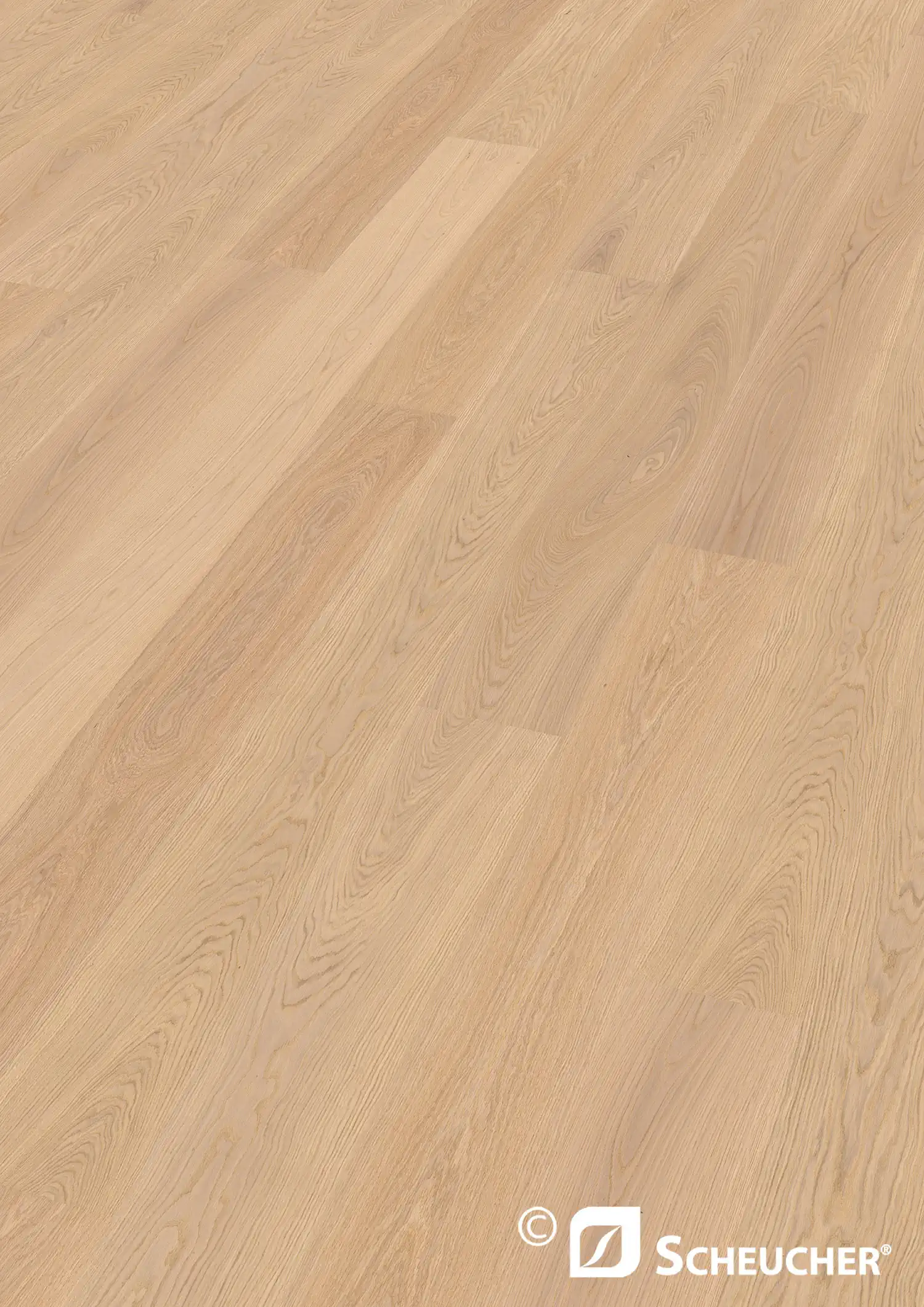 Scheucher Parkett Landhausdiele Woodflor222 Eiche Natur Bianca Valetta Seda