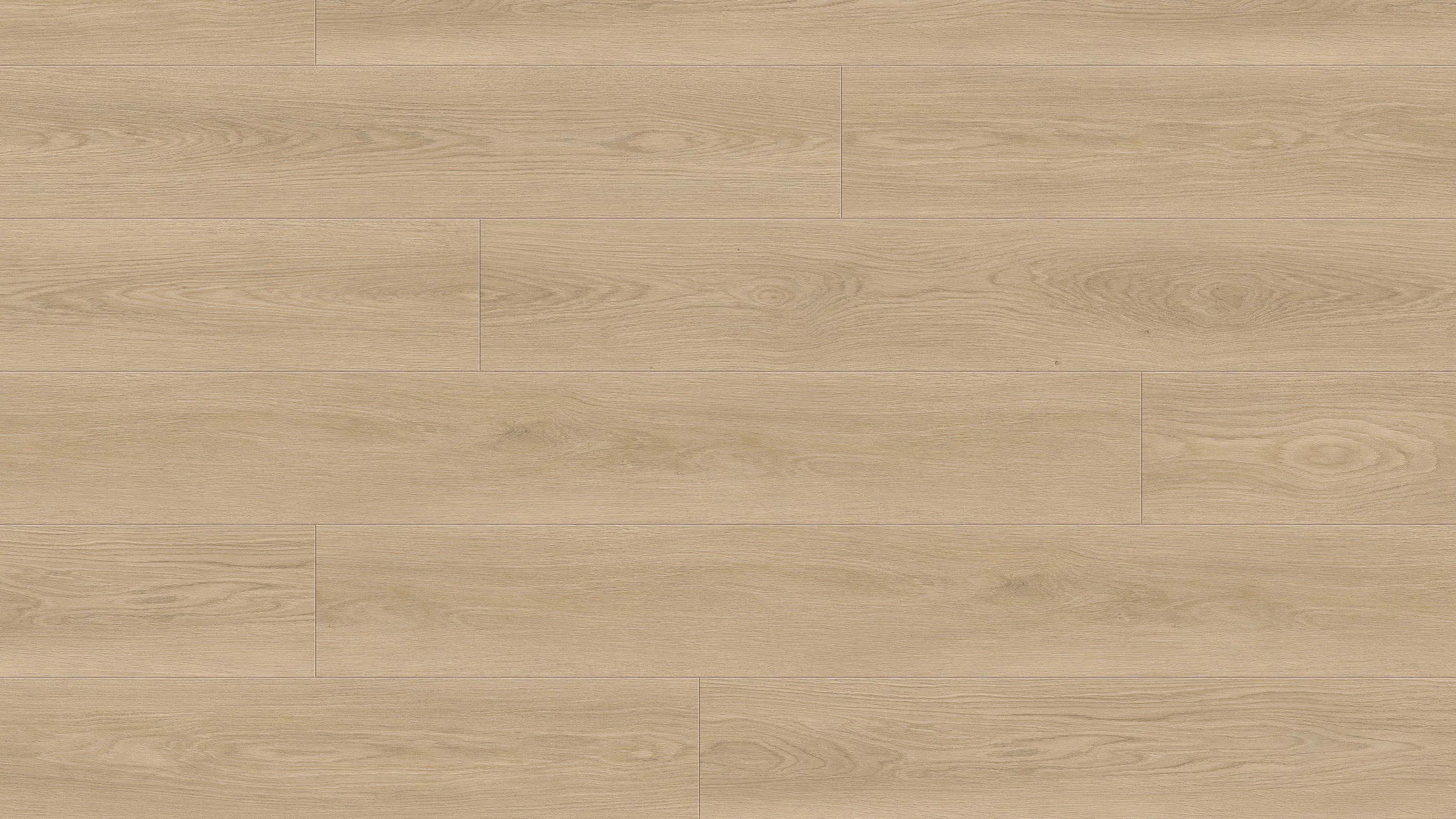 Haro Disano ClassicAqua Landhausdiele XL 4V Eiche Picardie Puro Top Connect 549005